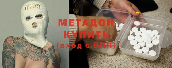 сатива Инта