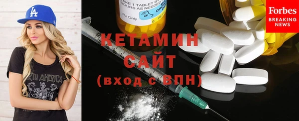 сатива Инта
