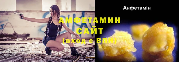 сатива Инта
