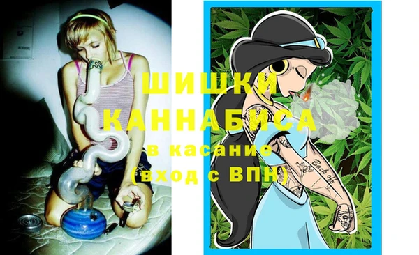 сатива Инта