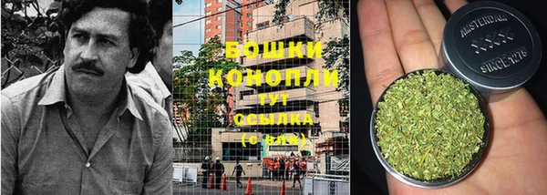тгк Иннополис