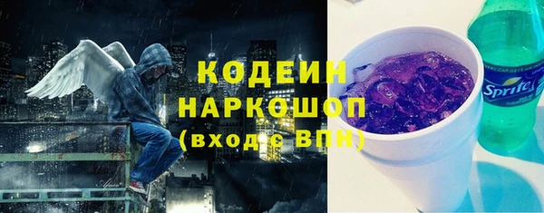сатива Инта