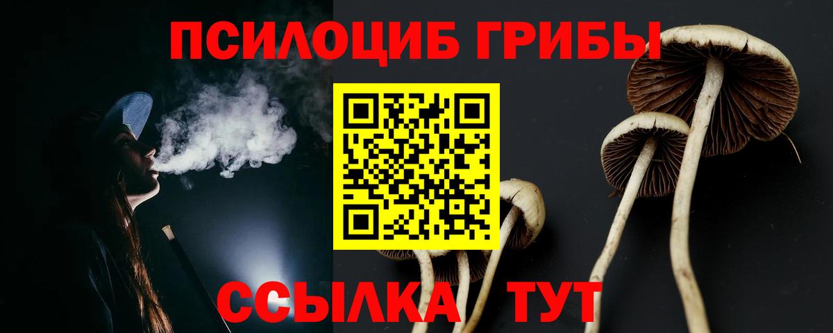 Галлюциногенные грибы Psilocybine cubensis Спасск-Дальний